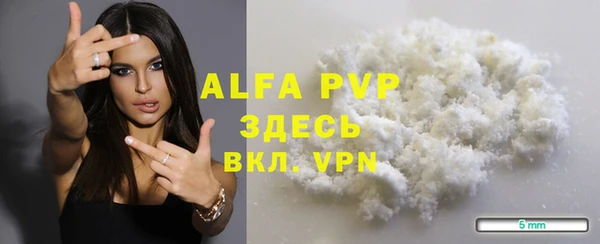 амф Зерноград
