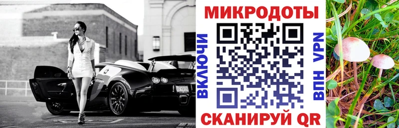 Псилоцибиновые грибы Psilocybine cubensis  Купить закладки  Спасск 